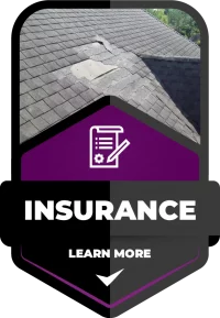 insurance icon badge